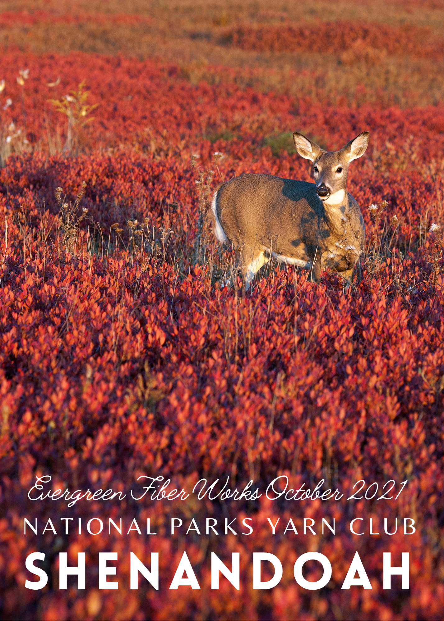 Shenandoah - Dyed-To-Order