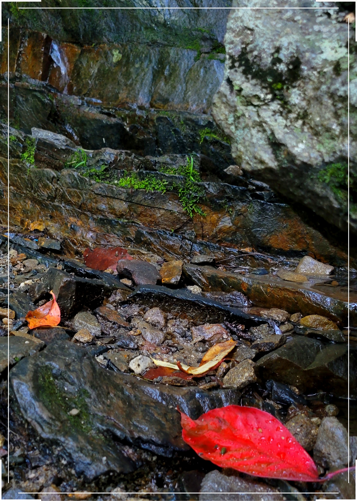 Smoky Mtn NP - 80/20