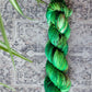Ramps - Spruce DK