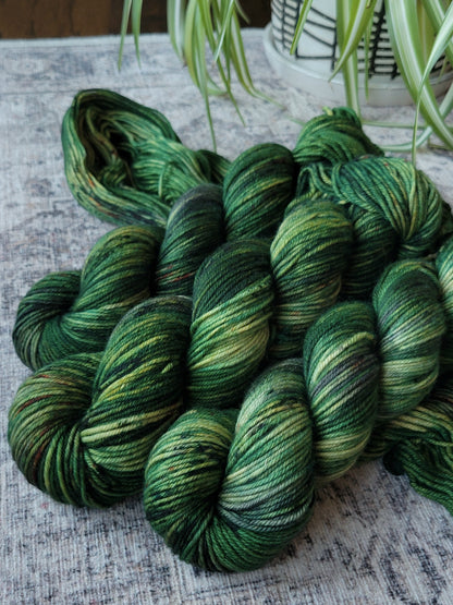 Lichen - Spruce DK