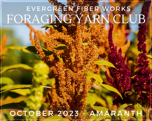 Foraging Yarn Club