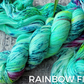 Rainbow Fish - Dyed-To-Order