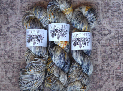 Acadia NP - Spruce DK