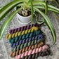 Winter 2022 Palette Mini Set - Cedar Sock