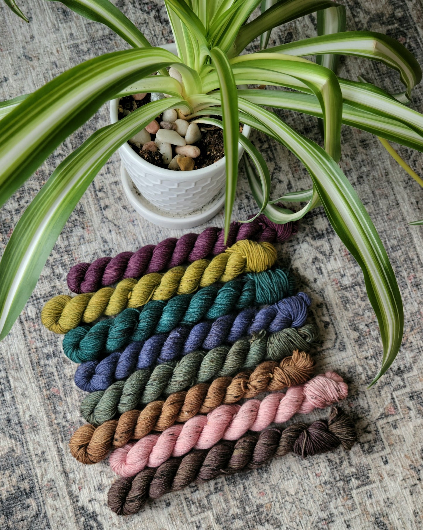 Winter 2022 Palette Mini Set - Cedar Sock